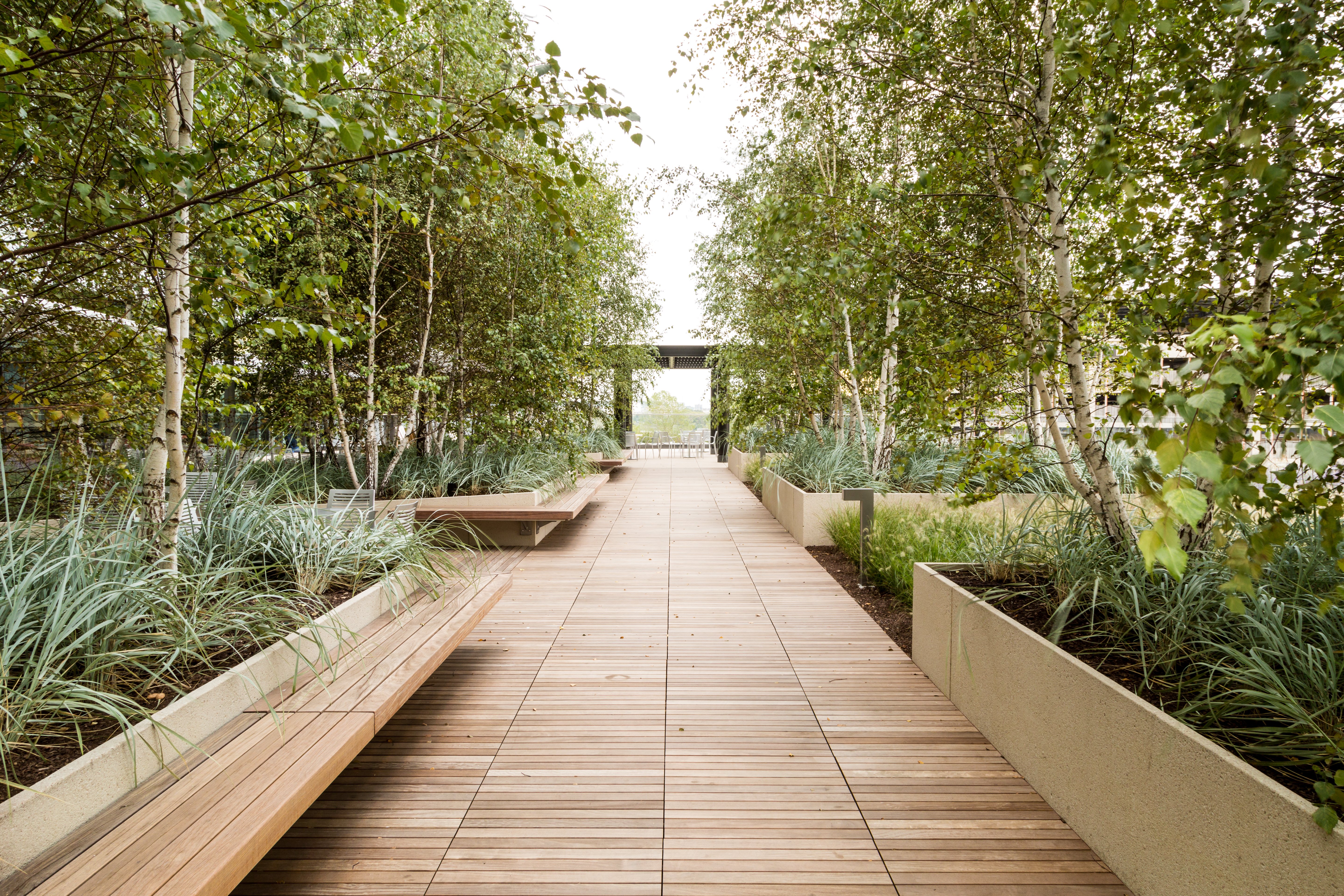 Biophilic design enhancing a healthcare facility campus