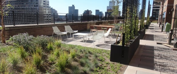 rooftop patio garden